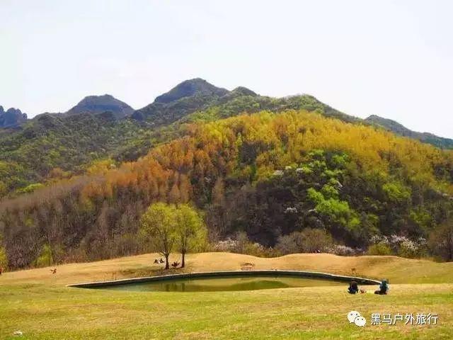 鲁信集团:为新时代现代化强省建设提供金融支撑
